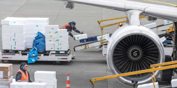 shutterstock-1013556934